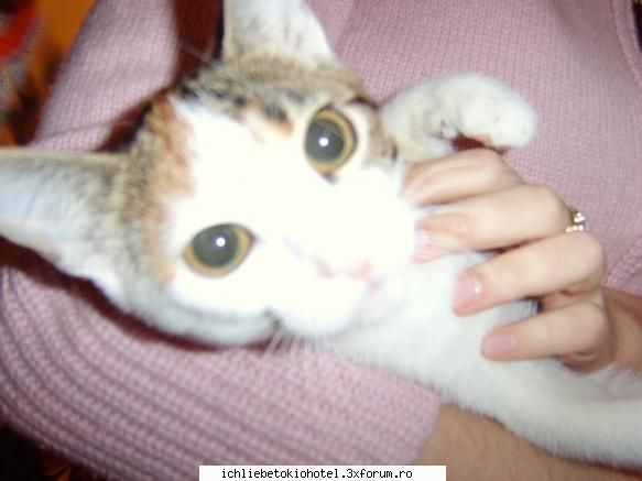 deci aia terra asta missy [ciudata mai mata asta:|]