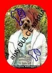 rbd vs. tokio hotel &nbsp; pune sa&nbsp; intram sal vedem noi....am vazut pagin aia care neai pus ღ^~*AdmInIstraToR*~^ღ