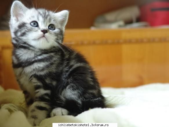 apus soare b:vreau totul fie bine decat inainte! zambesc imbratisez cat tare pot.avea zambet urias