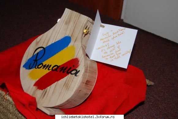 proiect tokio hotel romania