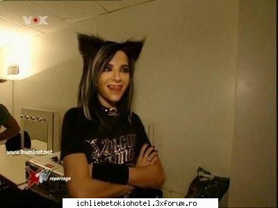 miau  :rotfl: picture about bill......