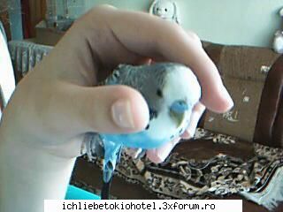 licurici?? ..se&nbsp; si&nbsp; asa&nbsp; ceva?? &nbsp; e&nbsp; lumea poz cu&nbsp; a&nbsp; nu&nbsp; ღ^~*AdmInIstraToR*~^ღ