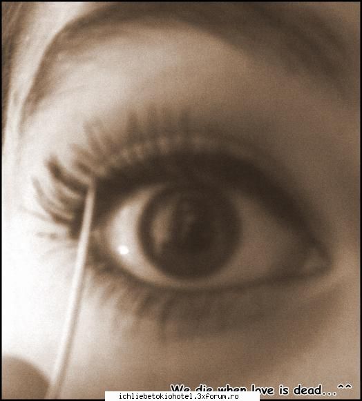 Pozele noastre... - x__rette_mich_o_0 - ღHallo!!ღ
