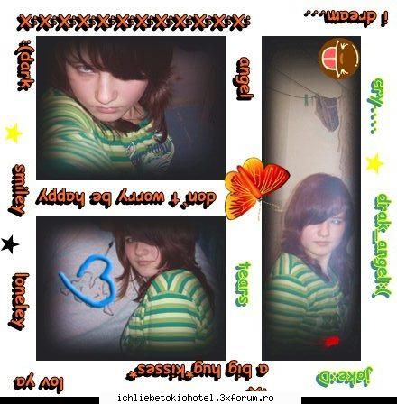 Pozele noastre... - j:-j ♥---rette---_---mich---♥ esti - ღHallo!!ღ