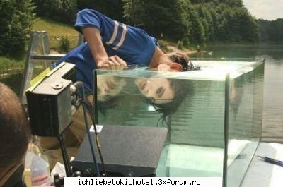 fun...about bill... - cauta pestisorul de aur - ღRecycle binღ