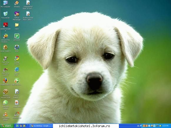 my desktop - ~Dr3aMs Co.M3 TrU3^_^ - ღPlayღ