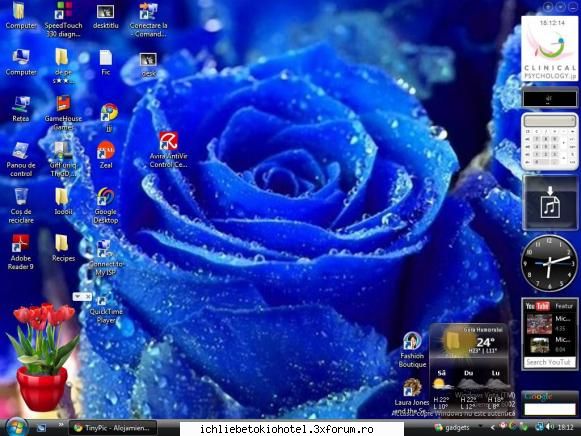 my desktop - ~!StupidStory!~ - ღPlayღ