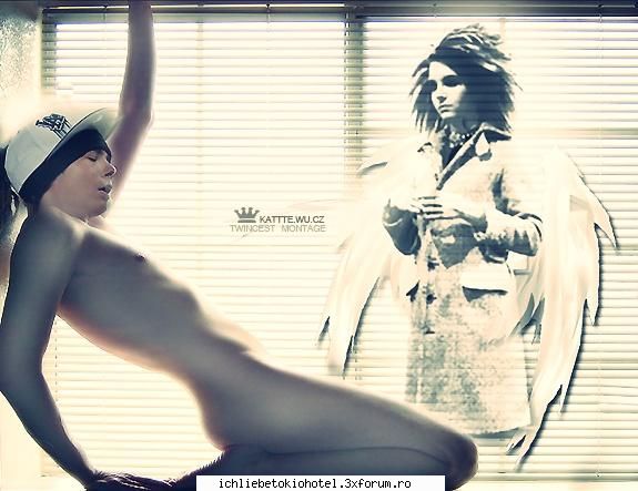 picture(funny) - da.innebunesc cand ma uit la el pun poza la tom - ღTomღ