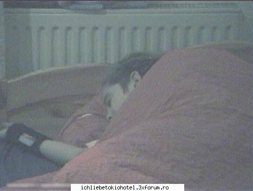 picture(funny) - the lion sleeps tonight - ღTomღ